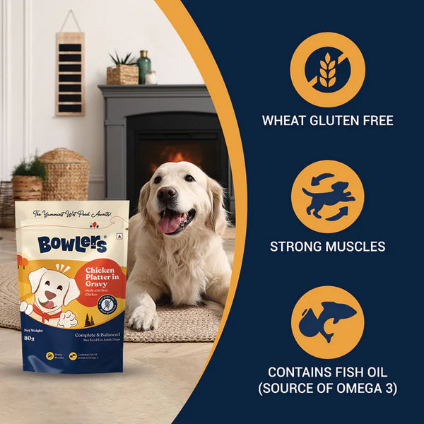 Bowlers Adult Chicken Recipe in Gravy Dog Wet Food Pack 5+1