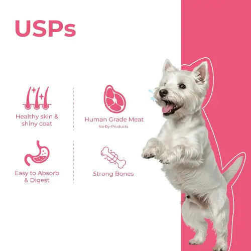 Barkkins Jelly Chicken Broth for Dogs