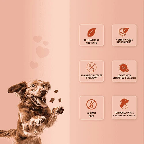 Natural Remedies Treat O'Clock Chicken and Egg Treats for Dogs