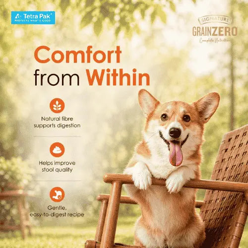 Grain Zero Dog Fresh Food Tetra Pak Real Chicken, Egg & Pumpkin for Adult & Puppy (150g)