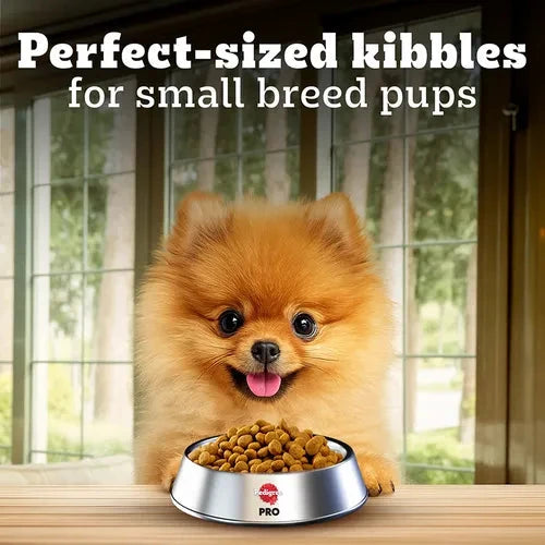 Pedigree PRO Expert Nutrition Small Breed Puppy (2 to 9 Months) Dry Food Dog Pedigree