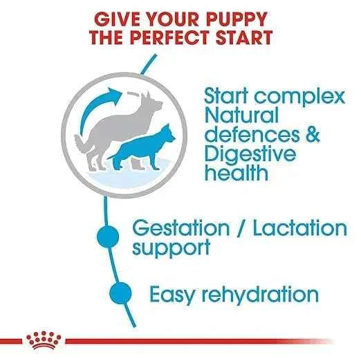 Royal Canin Maxi Starter, Mother & Babydog Dry Food