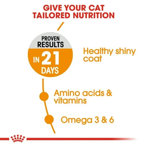 Royal Canin Skin & Hair Care for Adult Cats Dry Food Cat Royal Canin