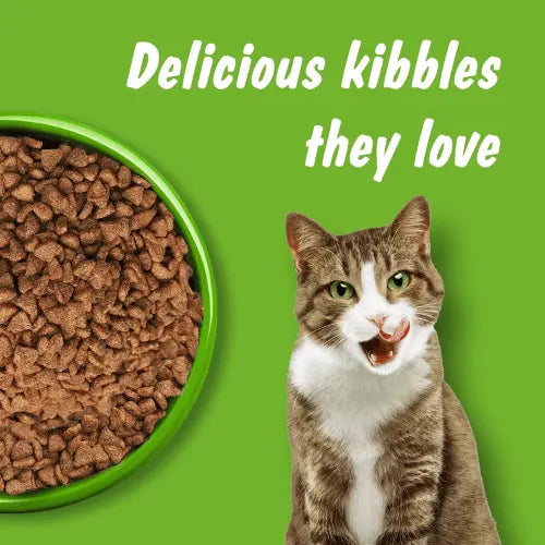Kitekat Adult Ocean Fish Dry Cat Food 3kg