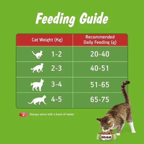 Kitekat Adult Ocean Fish Dry Cat Food 3kg