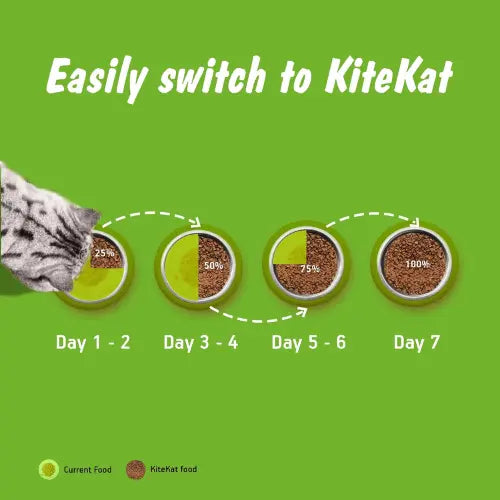 Kitekat Adult Ocean Fish Dry Cat Food 3kg