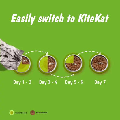 Kitekat Adult Ocean Fish Dry Cat Food 3kg