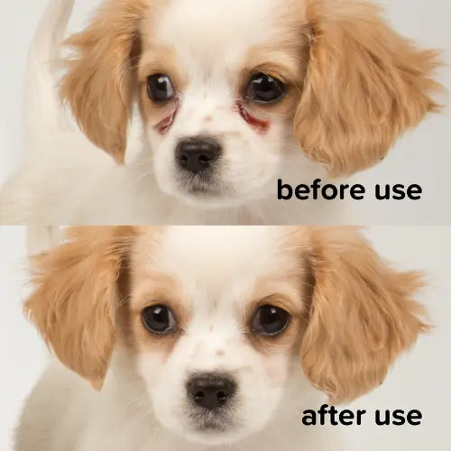 Beaphar Tear Stain Remover Liquid for Dogs & Cats – 50ml