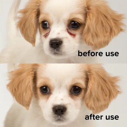 Beaphar Tear Stain Remover Liquid for Dogs & Cats – 50ml