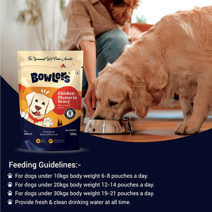 Bowlers Adult Chicken Recipe in Gravy Dog Wet Food Pack 5+1