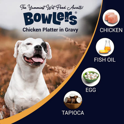 Bowlers Adult Chicken Recipe in Gravy Dog Wet Food Pack 5+1
