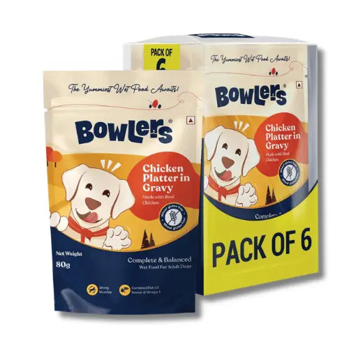 Bowlers Adult Chicken Recipe in Gravy Dog Wet Food Pack 5+1