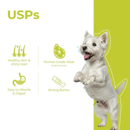 Dog Food