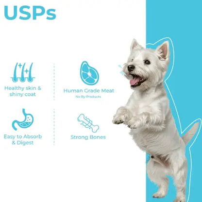 Barkkins Chicken & Rice for Adult Dogs