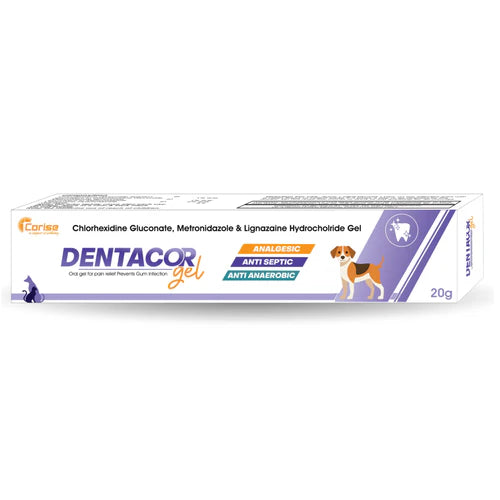 Corise Dentacor Oral Gel for Dogs & Cats | Antiseptic Oral Care Gel