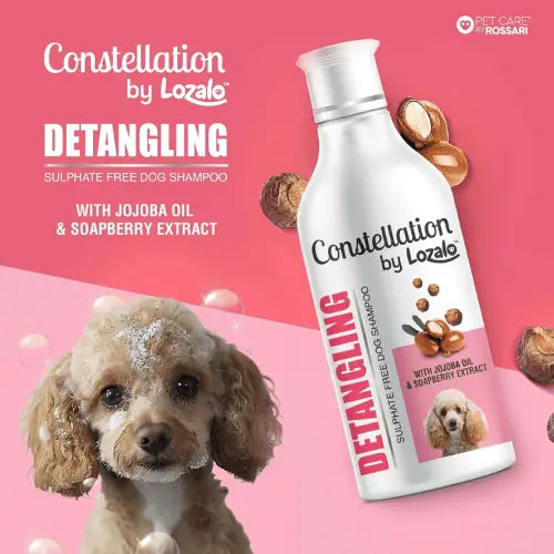 Lozalo Detangling Dog Shampoo 300 ml – Sulphate-Free with Jojoba Oil & Soapberry Extract