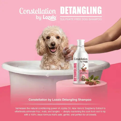 Lozalo Detangling Dog Shampoo 300 ml – Sulphate-Free with Jojoba Oil & Soapberry Extract