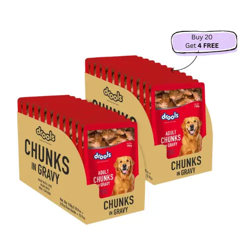 Drools Adult Gravy