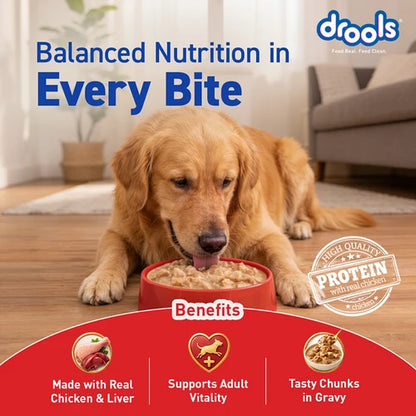 Drools Real Chicken & Chicken Liver Chunks in Gravy Adult Dog Wet Food