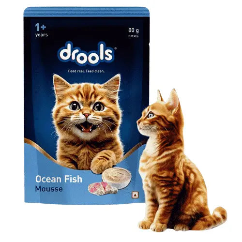 Drools Ocean Fish Mousse Adult Wet Cat Food 80g (5+1 Pack)