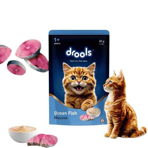 Drools Ocean Fish Mousse Adult Wet Cat Food 80g (5+1 Pack)