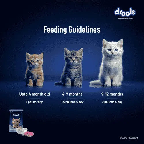 Feeding guidelines infographic for drools cat food, showing three kittens of different colors (orange, grey, and white) at three different ages (upto 4 months, 4-9 months, and 9-12 months) with corresponding feeding recommendations. A bag of cat food and two bowls are shown in the bottom left corner against a dark blue background.