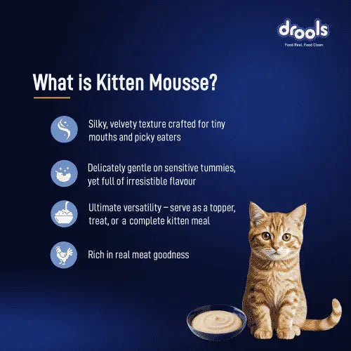 Promotional graphic for drools Kitten Mousse cat food on a dark blue background, featuring product benefits, a small bowl of beige mousse, and an orange tabby kitten.