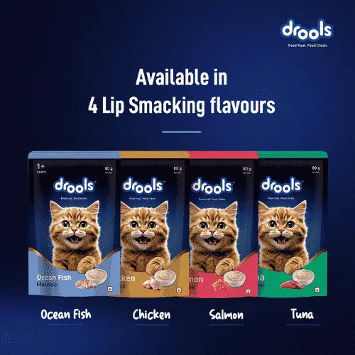 Four boxes of drools cat treats for cats, shown in Ocean Fish, Chicken, Salmon, and Tuna flavors. The packaging features a picture of an orange tabby cat on each box.