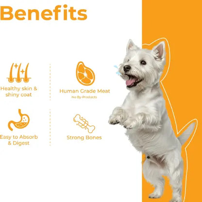 Barkkins Fish & Rice for Adult Dogs