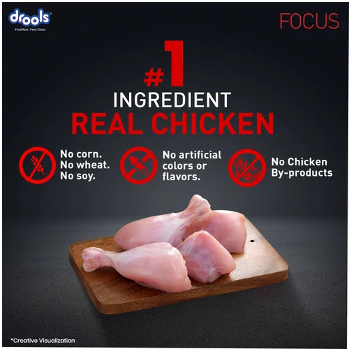 Drools Focus Super Premium Puppy Dog Dry Food Chicken Formula