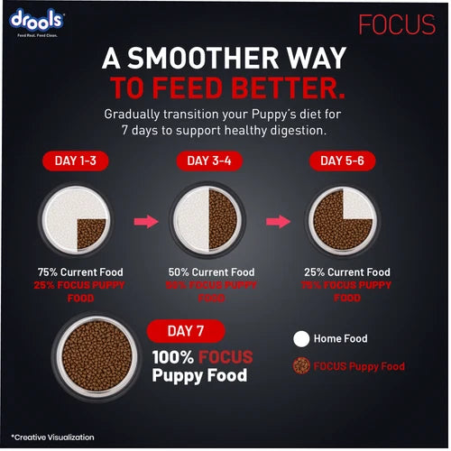 Drools Focus Super Premium Puppy Dog Dry Food Chicken Formula