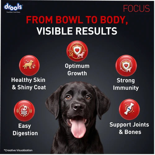 Drools Focus Super Premium Puppy Dog Dry Food Chicken Formula