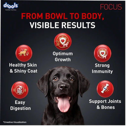 Drools Focus Super Premium Puppy Dog Dry Food Chicken Formula