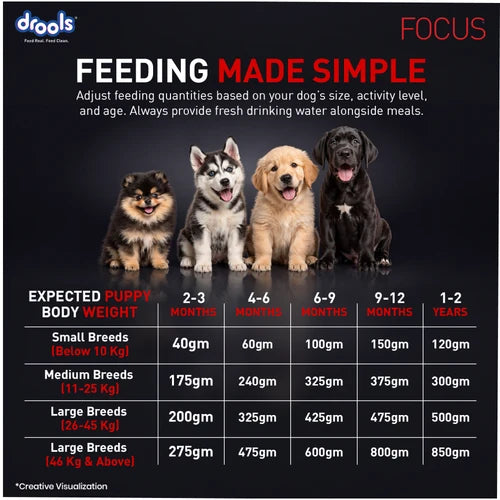 Drools Focus Super Premium Puppy Dog Dry Food Chicken Formula