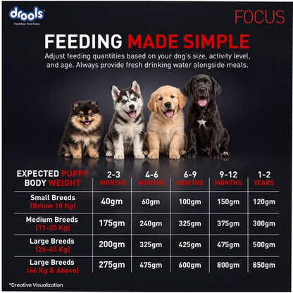 Drools Focus Super Premium Puppy Dog Dry Food Chicken Formula