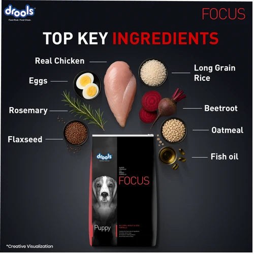 Drools Focus Super Premium Puppy Dog Dry Food Chicken Formula