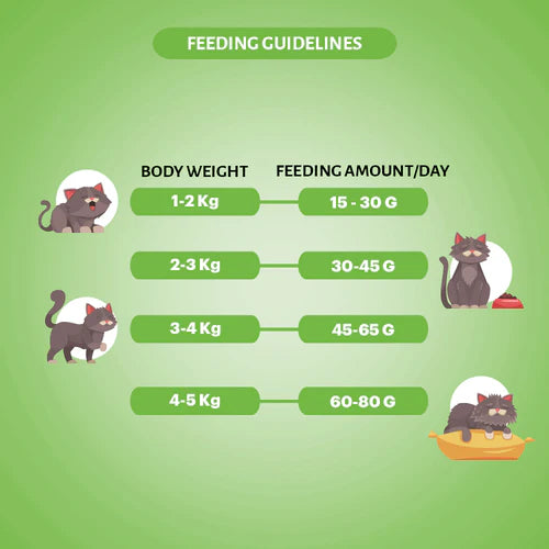 Signature Grain Zero Chicken & Vegetable Adult Cat Dry Food For All Breeds