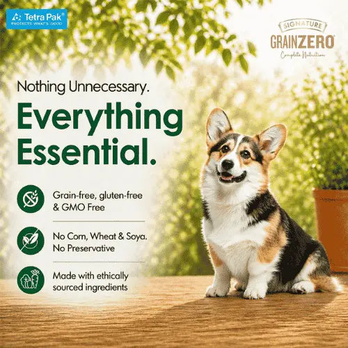 Grain Zero Dog Fresh Food Tetra Pak Lamb & Vegetables for Adult & Puppy (150g)