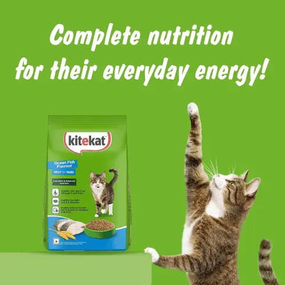 Kitekat Adult Ocean Fish Dry Cat Food 3kg
