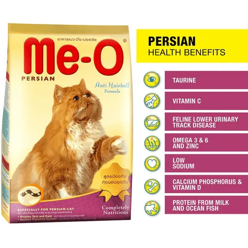 Meo persian Adult
