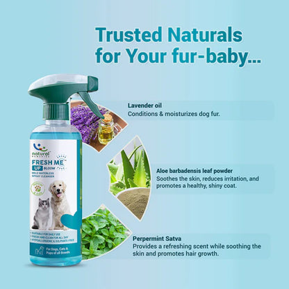 Natural Remedies Fresh Me Up Bloom Dry Shampoo for Dogs and Cats
