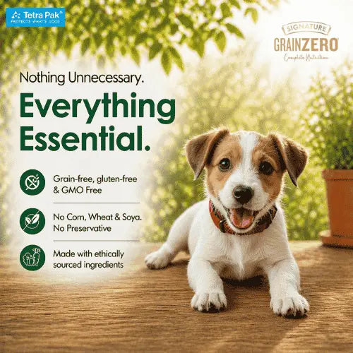 Grain Zero Dog Fresh Food Tetra Pak Real Chicken & Vegetables for Adult & Puppy (150g)