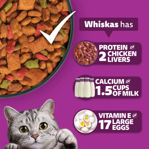 Ocean fish dry cat food kibble