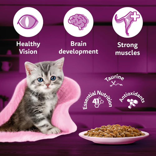 Whiskas tuna jelly gravy kitten 