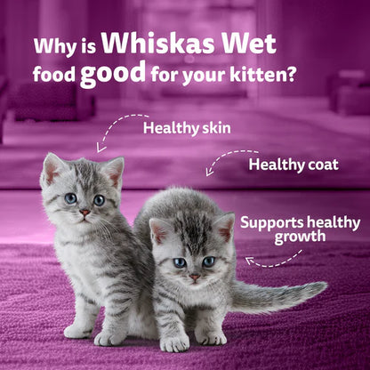 Whiskas tuna jelly gravy kitten 