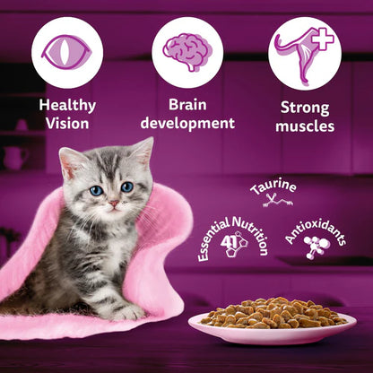 Whiskas tuna jelly gravy kitten 
