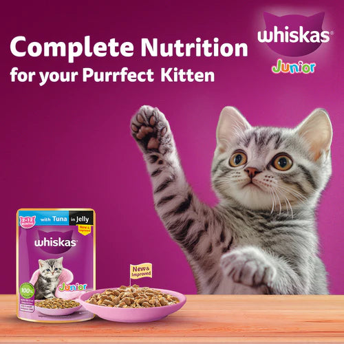 Whiskas tuna jelly gravy kitten 