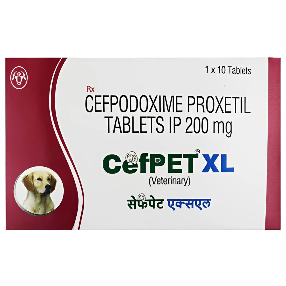 Intas Cefpet Tablet for Dogs & Cats (Pack of 10)