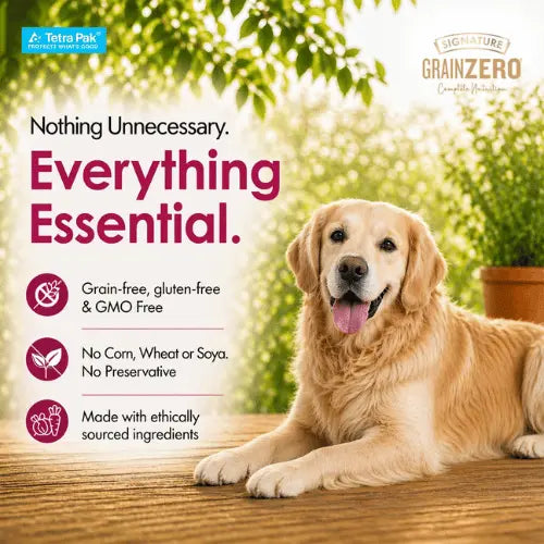 Grain Zero Dog Fresh Food Tetra Pak Real Chicken & Turkey for Adult & Puppy (150g)