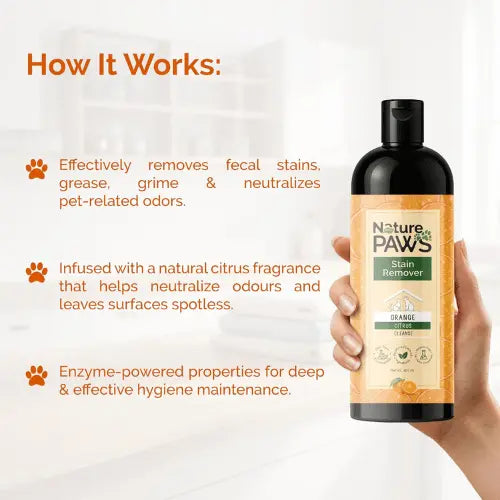 Pet Stain Remover – Enzyme Cleaner for Urine, Vomit, Food & Dirt